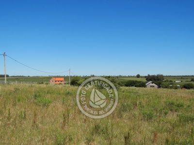 Terrenos Postales del Pittamiglio Las Flores