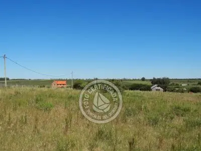 Terrenos Postales del Pittamiglio Las Flores