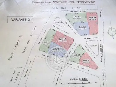 Terrenos Postales del Pittamiglio Las Flores