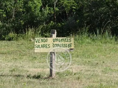 Lotes 3 Terrenos consecutivos - 1543 m2 total Aguas Dulces