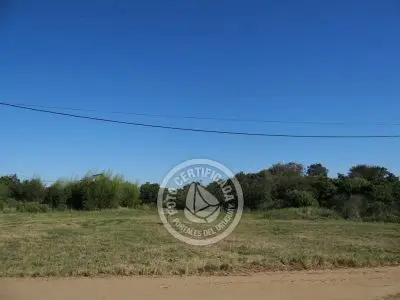 Lotes 3 Terrenos consecutivos - 1543 m2 total Aguas Dulces