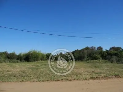 Lotes 3 Terrenos consecutivos - 1543 m2 total Aguas Dulces