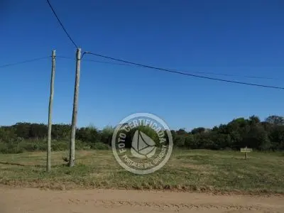 Lotes 3 Terrenos consecutivos - 1543 m2 total Aguas Dulces