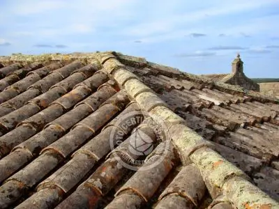 Outdoor activities Fortaleza de Santa Teresa Rocha