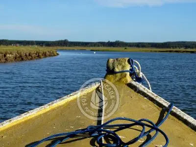 Paseos y Actividades  Bosque de Ombúes - Rincón de los Olivera Rocha