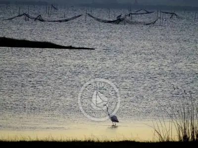Paseos y Actividades  Bosque de Ombúes - Rincón de los Olivera Rocha