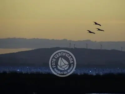 Paseos y Actividades  Bosque de Ombúes - Rincón de los Olivera Rocha