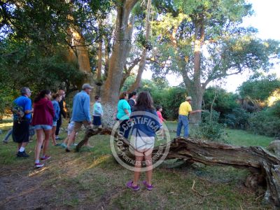 Paseos y Actividades  Bosque de Ombúes - Rincón de los Olivera Rocha