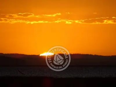 Paseos y Actividades  Bosque de Ombúes - Rincón de los Olivera Rocha