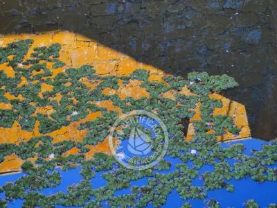 Outdoor activities Fortín de San Miguel Rocha