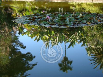 Outdoor activities Parque Santa Teresa Parque Santa Teresa