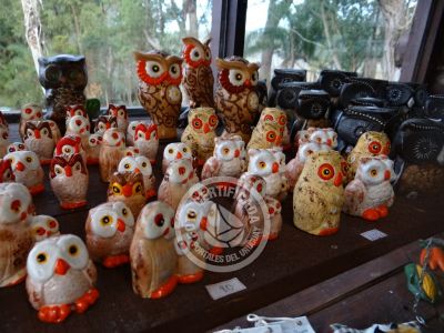 Outdoor activities Parque Santa Teresa Parque Santa Teresa