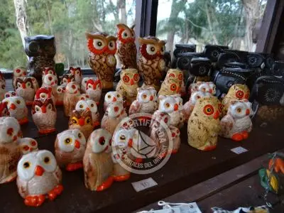 Paseos y Actividades Parque Santa Teresa Parque Santa Teresa