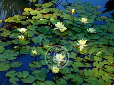 Paseos y Actividades Parque Santa Teresa Parque Santa Teresa