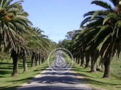 Outdoor activities Parque Santa Teresa Parque Santa Teresa