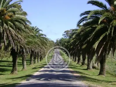 Paseos y Actividades Parque Santa Teresa Parque Santa Teresa
