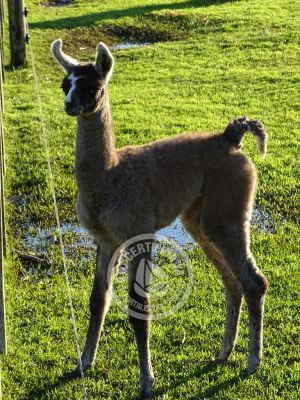 Outdoor activities Parque Santa Teresa Parque Santa Teresa