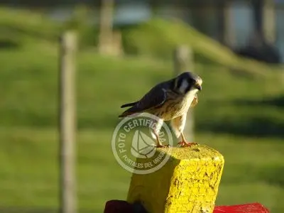 Paseos y Actividades Parque Santa Teresa Parque Santa Teresa