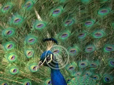 Paseos y Actividades Parque Santa Teresa Parque Santa Teresa