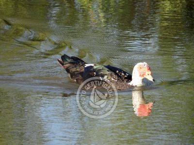 Outdoor activities Parque Santa Teresa Parque Santa Teresa