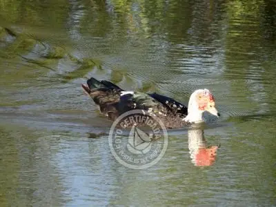 Paseos y Actividades Parque Santa Teresa Parque Santa Teresa