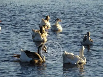 Paseos y Actividades Parque Santa Teresa Parque Santa Teresa