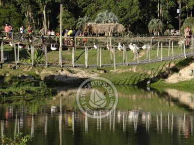 Outdoor activities Parque Santa Teresa Parque Santa Teresa