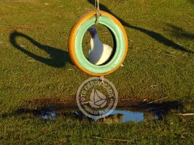 Paseos y Actividades Parque Santa Teresa Parque Santa Teresa