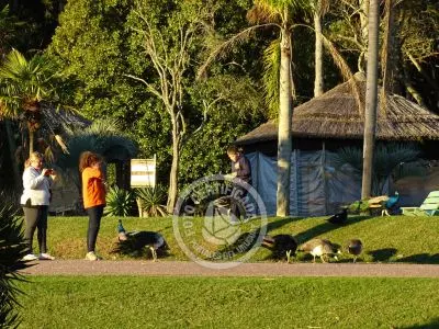 Paseos y Actividades Parque Santa Teresa Parque Santa Teresa