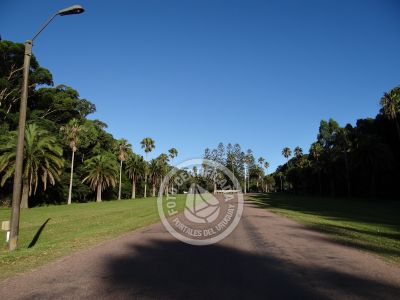 Outdoor activities Parque Santa Teresa Parque Santa Teresa