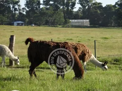 Paseos y Actividades Parque Santa Teresa Parque Santa Teresa