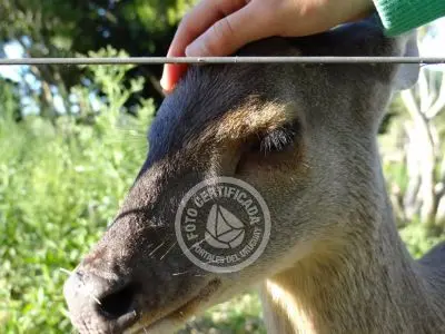 Paseos y Actividades Parque Santa Teresa Parque Santa Teresa