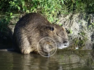 Paseos y Actividades Parque Santa Teresa Parque Santa Teresa