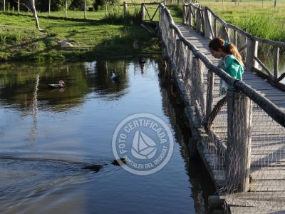Outdoor activities Parque Santa Teresa Parque Santa Teresa