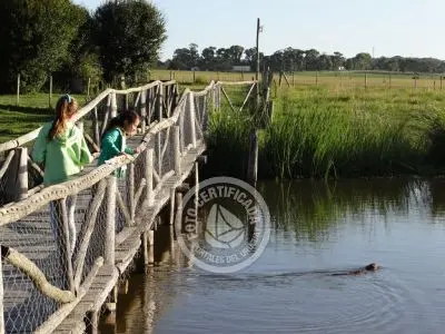 Paseos y Actividades Parque Santa Teresa Parque Santa Teresa