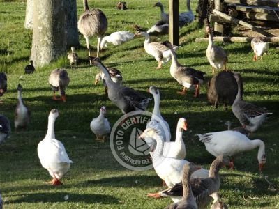 Outdoor activities Parque Santa Teresa Parque Santa Teresa