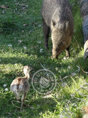 Outdoor activities Parque Santa Teresa Parque Santa Teresa