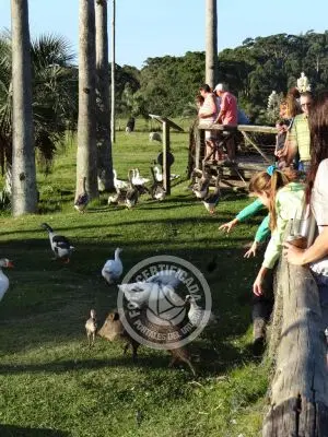 Paseos y Actividades Parque Santa Teresa Parque Santa Teresa