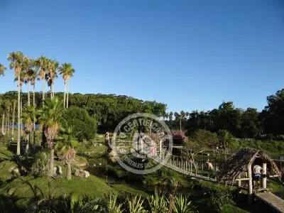 Paseos y Actividades Parque Santa Teresa Parque Santa Teresa