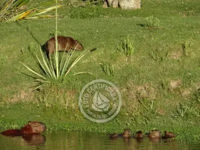Paseos y Actividades Parque Santa Teresa Parque Santa Teresa