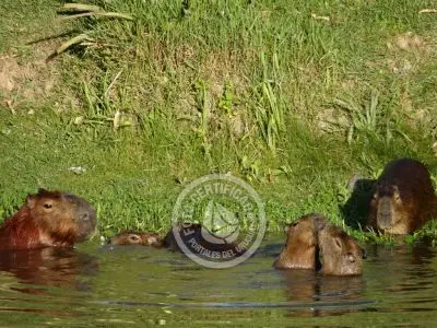 Paseos y Actividades Parque Santa Teresa Parque Santa Teresa