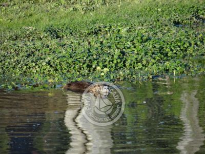 Outdoor activities Parque Santa Teresa Parque Santa Teresa
