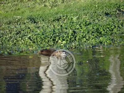 Paseos y Actividades Parque Santa Teresa Parque Santa Teresa