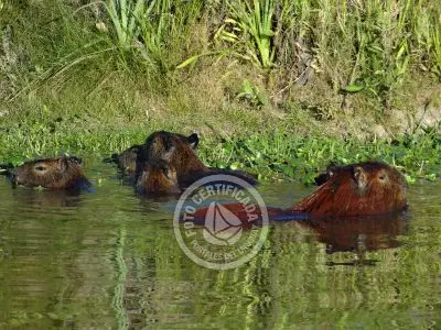 Paseos y Actividades Parque Santa Teresa Parque Santa Teresa