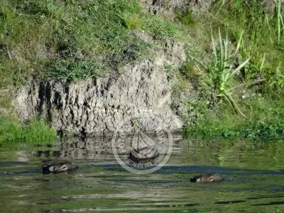 Paseos y Actividades Parque Santa Teresa Parque Santa Teresa