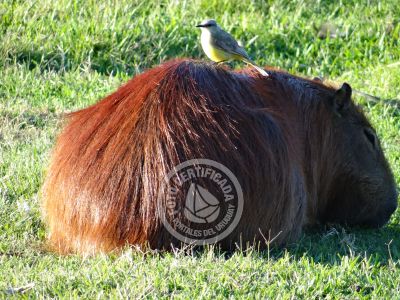 Outdoor activities Parque Santa Teresa Parque Santa Teresa
