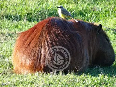 Paseos y Actividades Parque Santa Teresa Parque Santa Teresa