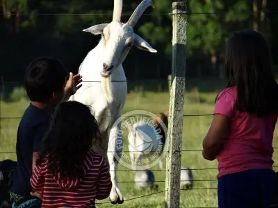 Paseos y Actividades Parque Santa Teresa Parque Santa Teresa
