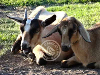 Paseos y Actividades Parque Santa Teresa Parque Santa Teresa