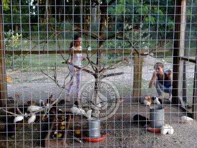 Paseos y Actividades Parque Santa Teresa Parque Santa Teresa